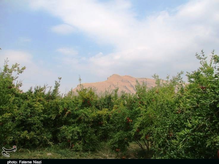 استان لرستان , کشاورزی ,