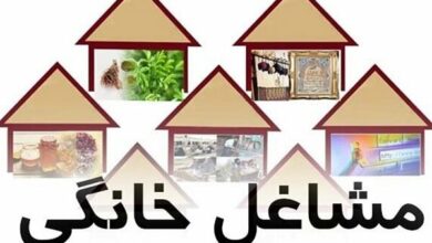 بررسی راههای ایجاد ثبات در کسبوکارهای خانگی