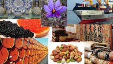 برنامه وزارت تعاون برای افزایش صادرات تعاونیها