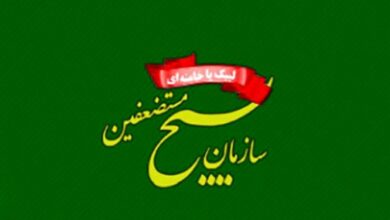 برگزاری همایش تبیین کارآمدی و تجلیل از الگوهای موفق خدمتگزار به مناسب هفته بسیج