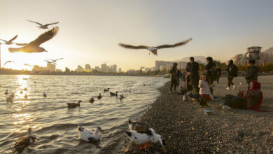 بی آبی بیخ گوش دریاچه «چیتگر»/ حق آبه دریاچه چه میشود؟