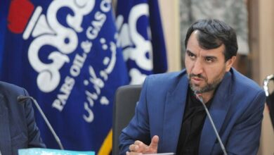 تأمین داخلی ۸۰ درصدی تجهیزات طرحهای پتروشیمی