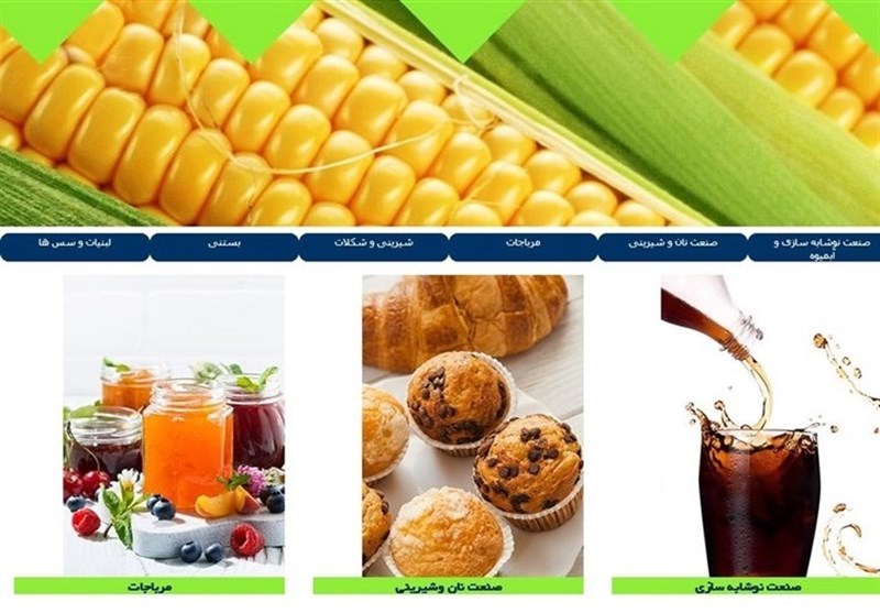 تاکنون برنامه اجرایی و مدونی در حوزه صنایع تبدیلی استان مرکزی ارائه نشده است