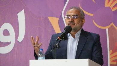 تاکید دولت بر ایجاد جایگاههای عرضه محصولات خانگی در سطح کشور