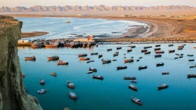 تحقق اهداف اقتصاد دریامحور نیازمند همراهی بانکها، دولت و صندوق توسعه