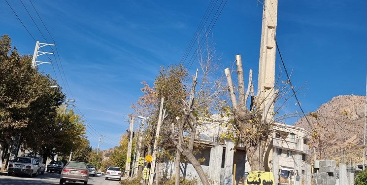 تصویر غمانگیز درختان در سیسخت