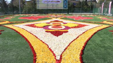 توسعه صادرات گل توسعه اقتصاد کشور را رقم میزند