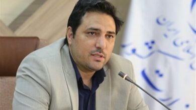 تولید سالانه ۳۰ هزار تن ماهی قزلآلای سردابی در استان چهارمحال و بختیاری