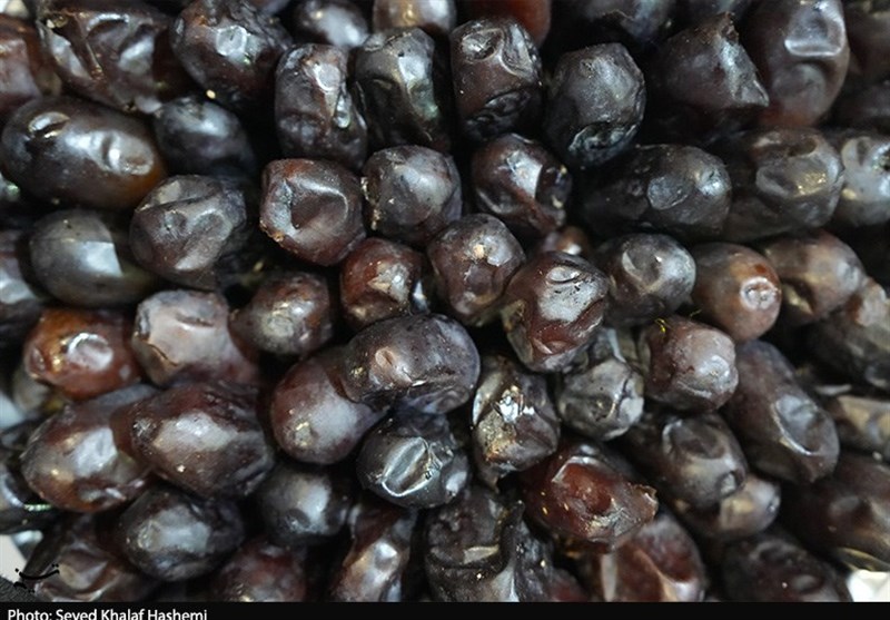 تولید ۱۷۰ هزار تن خرما در استان بوشهر + تصویر