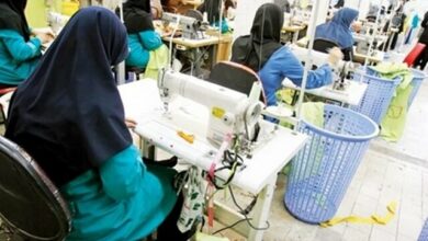 تکلیف مجلس به معاونت علمی ریاست جمهوری درباره توانمندسازی زنان خلاق و نوآور