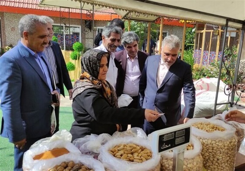 تکمیل زنجیره ارزش راهبردی بادام در قطب تولید/ نخستین شهرک تخصصی راهاندازی میشود