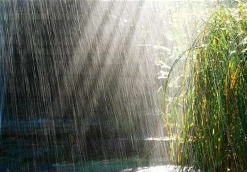 ثبت بیشترین میزان باران در شمال استان بوشهر به میزان ۴۲.۸ میلیمتر