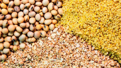 حذف قیمتگذاری دستوری و سهمیهبندی خوراک دام و طیور