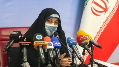 خزعلی: آییننامه جامع بانوان سرپرست خانوار تدوین شده است