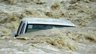 خسارت سیل و باران در شهرستان نور| از مفقودی 3 خودرو تا طغیان رودخانهها