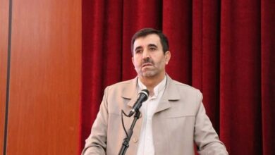 درگیری چند استان کشور با پشه «آئدس»/ گزارشی مبنیبر انتقال ویروسهای خطرناک نداریم