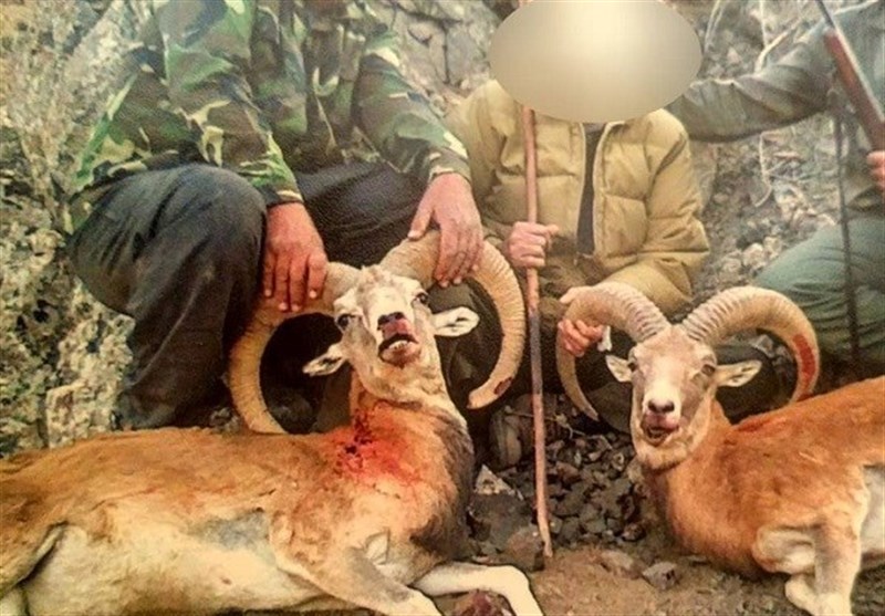 دستگیری باند شکارچیان در ارتفاعات «دیل»