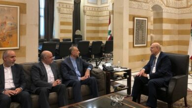 دیدار و گفتوگوی امیرعبداللهیان با نجیب میقاتی