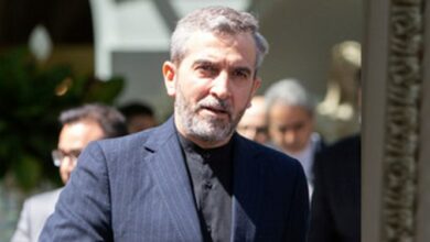 رایزنیهای علی باقری از مسکو تا ژنو