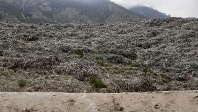 روزشمار ضربالاجل 15 روزه رئیس جمهوری برای رفع معضل زباله در آمل