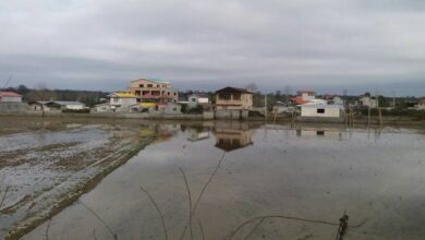 زمینهای بیش از 25 میلیارد تومان مشمول مالیات میشود