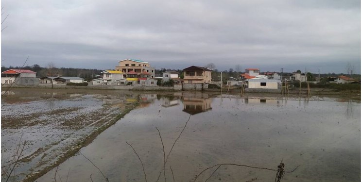 زمینهای بیش از 25 میلیارد تومان مشمول مالیات میشود