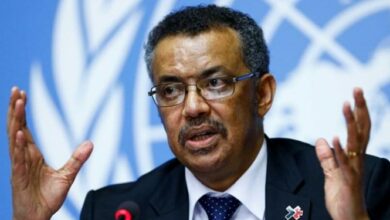 سازمانجهانی بهداشت: تا چه زمانی میخواهد فاجعه بشری در غزه ادامه یابد