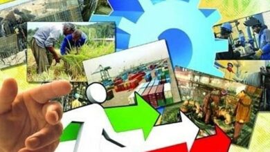 سایهروشن آمارهای اشتغال در فارس+فیلم