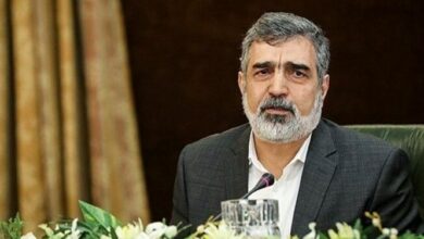 سخنگوی سازمان انرژی اتمی: ایران در بسیاری از حوزههای هسته ای جزو کشورهای برتر دنیا است