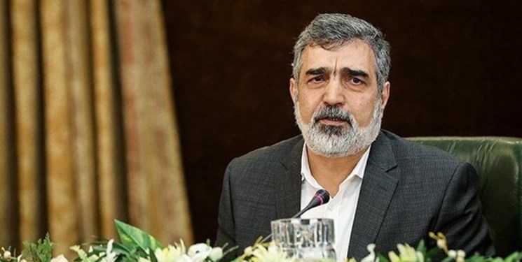 سخنگوی سازمان انرژی اتمی: ایران در بسیاری از حوزههای هسته ای جزو کشورهای برتر دنیا است