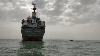 سرمایهگذاری خصوصی داخلی و خارجی از تاکیدات اقتصاد دریا محور