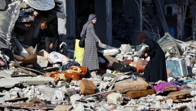 شهریاری: چرا باید پنج کشور در شورای امنیت برای دنیا تصمیمگیری کنند