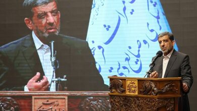 صادرات انار نیازمند بستهبندی مطلوب و جذاب است