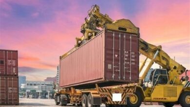 صادرات ۲۳۴ میلیون دلاری از منطقه آزاد قشم