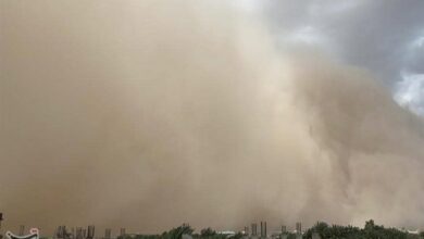 صدور هشدار زرد هواشناسی در سیستان و بلوچستان/ پیشبینی وقوع طوفان گرد و خاک در سیستان