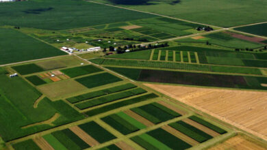 ضرورت اصلاح شیوهنامه اجرای طرح یکپارچه سازی اراضی کشاورزی