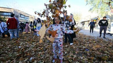 طنازی برگهای پاییزی در پیادهراه اکباتان همدان + تصاویر