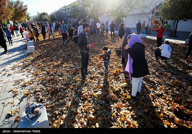 طنازی برگهای پاییزی در پیادهراه اکباتان همدان + تصاویر