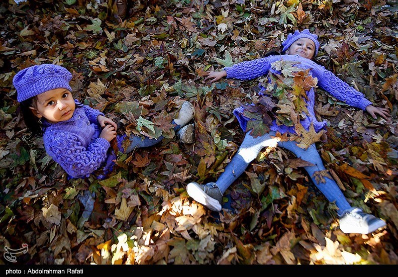 طنازی برگهای پاییزی در پیادهراه اکباتان همدان + تصاویر