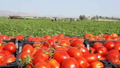 عوارض از صادرات محصولات آب بر گرفته میشود