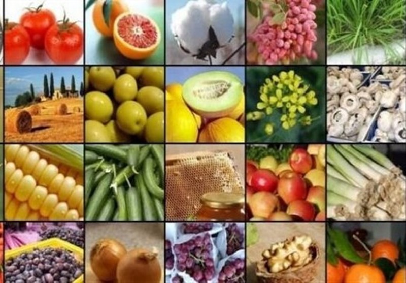 فرماندار ری: محصولات کشاورزان کهریزک باید شناسنامه دار شود