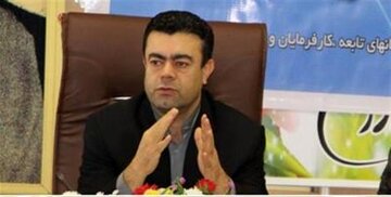 فرهنگ کار و تعاون از دل فرهنگ عمومی به وجود میآید