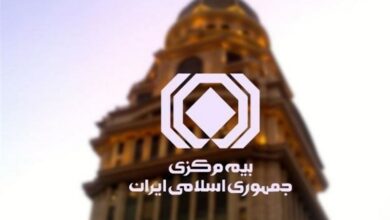 فعالیت ۳۰۰ هزار نفر در صنعت بیمه کشور/ کولهبران بیمه میشوند + فیلم