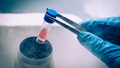 قاسمپور: فریز تخمک برای دختران مجرد بالای ۳۰ سال مشمول بیمه پایه میشود