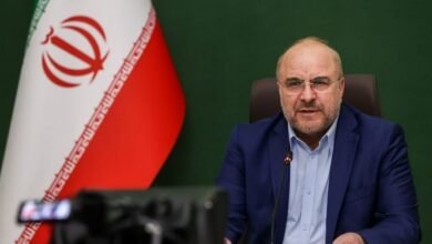 قالیباف در گفتوگو با رئیس مجلس الجزایر: ایران آماده برگزاری نشست کمیته دائمی فلسطین است