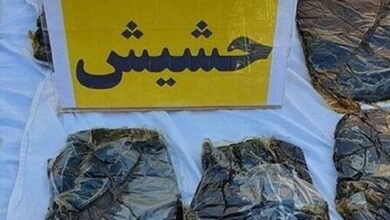 قاچاق حشیش با کوله پشتی در خراسانجنوبی