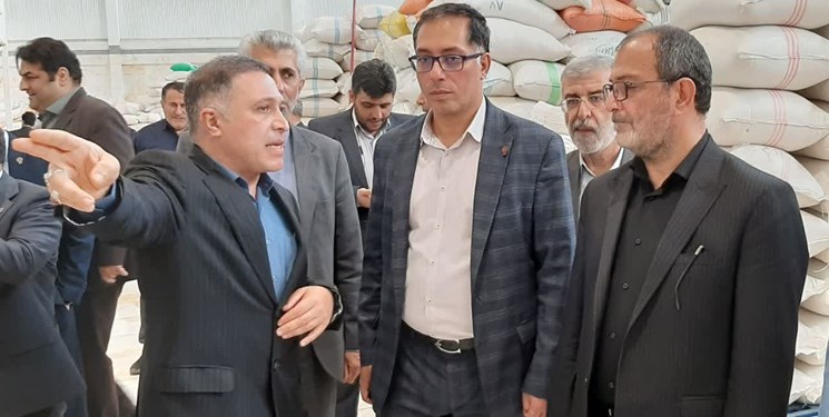 قطع دست دلالان و حذف واسطهها با فروش بورسی برنج