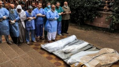 محاصرهشدگان در غزه: آب و غذایمان تمام شده، منتظر مرگیم