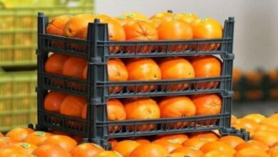 محصولات کشاورزی ایران شناسنامه میخواهند