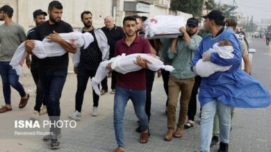 محمدصالحی: چوب حراج به آبرو و حیثیت اسرائیل خورده است